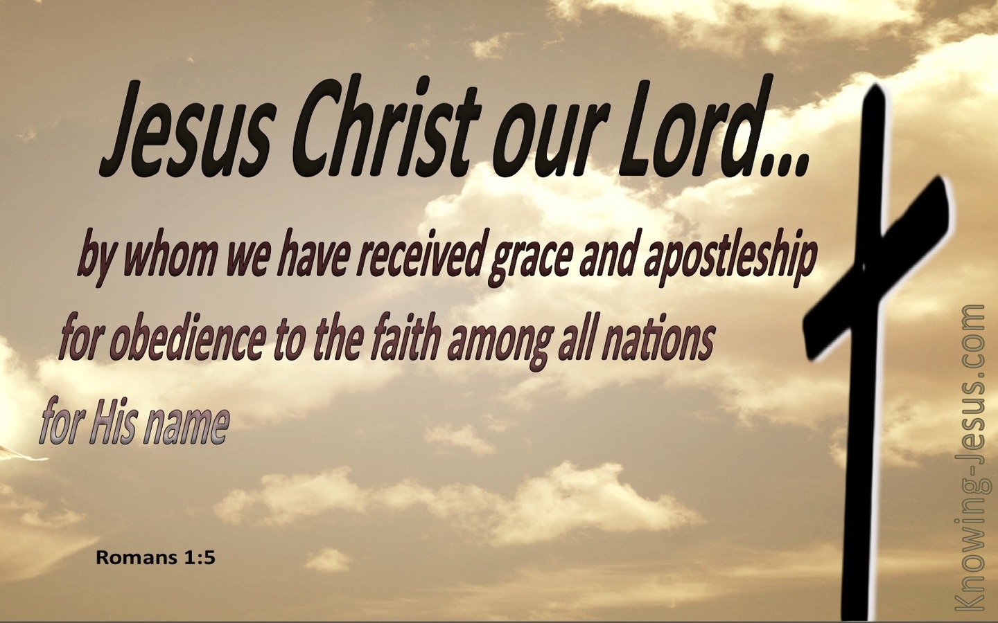 Romans 1:5 By Whom We Received Grace And Apostleship (beige)